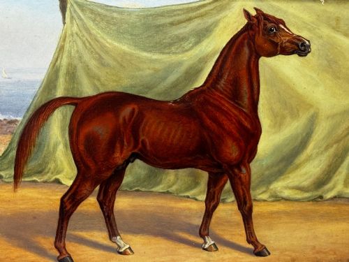 OIL PAINTING PUREBRED ARABIAN HORSE BOMBAY STABLES INDIA - ADDITIONAL PHOTO 2