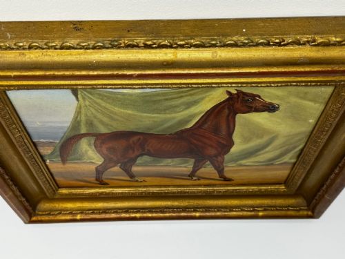 OIL PAINTING PUREBRED ARABIAN HORSE BOMBAY STABLES INDIA - ADDITIONAL PHOTO 3