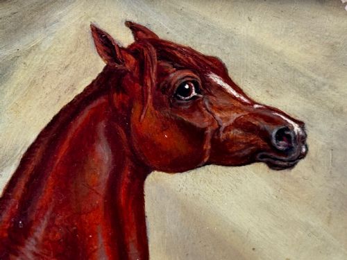 OIL PAINTING PUREBRED ARABIAN HORSE BOMBAY STABLES INDIA - ADDITIONAL PHOTO 13