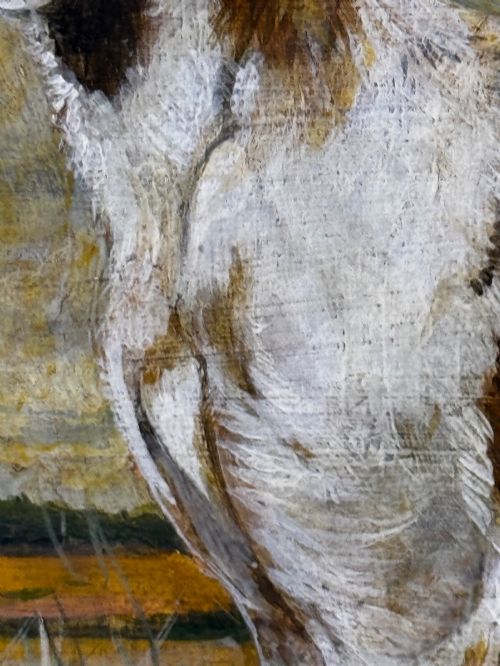 fig 1. An antique Edwardian oil painting depicting a tan and white lurcher dog in a landscape, set within an ornate gilded frame.