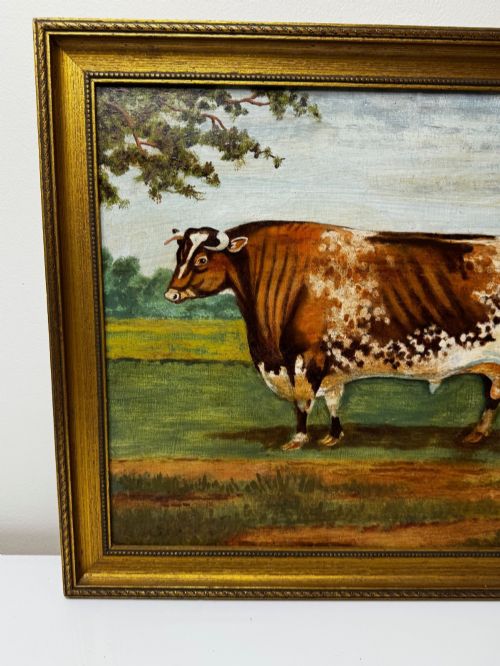 fig 1. An antique Victorian oil painting depicting a brown and white shorthorn bull in a grassy field within a gilded frame.