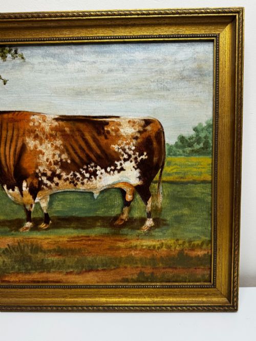 fig 2. An antique Victorian oil painting depicting a brown and white shorthorn bull in a grassy field within a gilded frame.