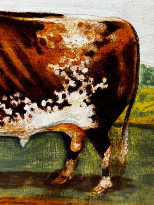 fig 3. An antique Victorian oil painting depicting a brown and white shorthorn bull in a grassy field within a gilded frame.