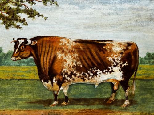 fig 7. An antique Victorian oil painting depicting a brown and white shorthorn bull in a grassy field within a gilded frame.