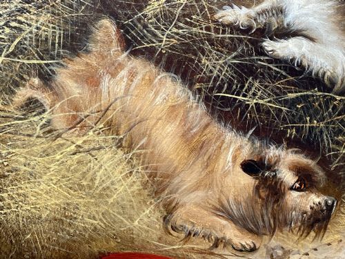 fig 1. A 19th-century oil painting depicting three working terriers inside a straw-lined barn, presented in an ornate giltwood frame with detailed corner embellishments.