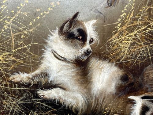 fig 2. A 19th-century oil painting depicting three working terriers inside a straw-lined barn, presented in an ornate giltwood frame with detailed corner embellishments.