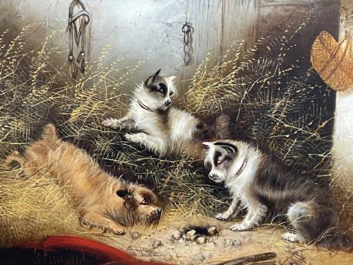fig 9. A 19th-century oil painting depicting three working terriers inside a straw-lined barn, presented in an ornate giltwood frame with detailed corner embellishments.