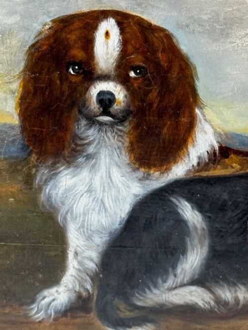 fig 6. A nineteenth-century framed oil painting depicting a Blenheim spaniel and a tricolour spaniel seated outdoors, enclosed within an ornate gold giltwood frame.