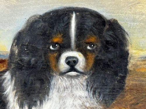 fig 8. A nineteenth-century framed oil painting depicting a Blenheim spaniel and a tricolour spaniel seated outdoors, enclosed within an ornate gold giltwood frame.