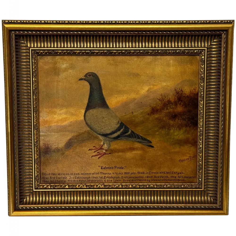 Oil Painting Racing Pigeon Champion Edwins Pride By Andrew Beer
