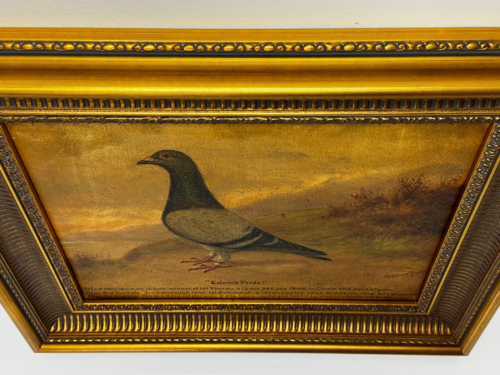Oil Painting Racing Pigeon Champion Edwins Pride By Andrew Beer View V