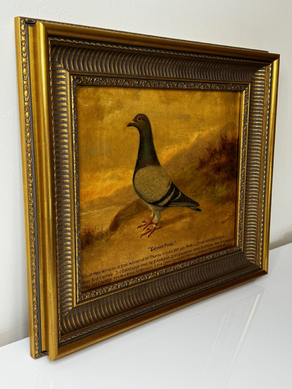Oil Painting Racing Pigeon Champion Edwins Pride By Andrew Beer View XXX