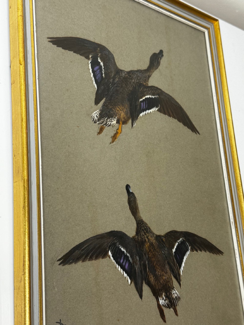 A vertical framed Victorian oil painting by Thomas Blinks depicting two mallard ducks flying upward against a plain grey background. View XXVIII