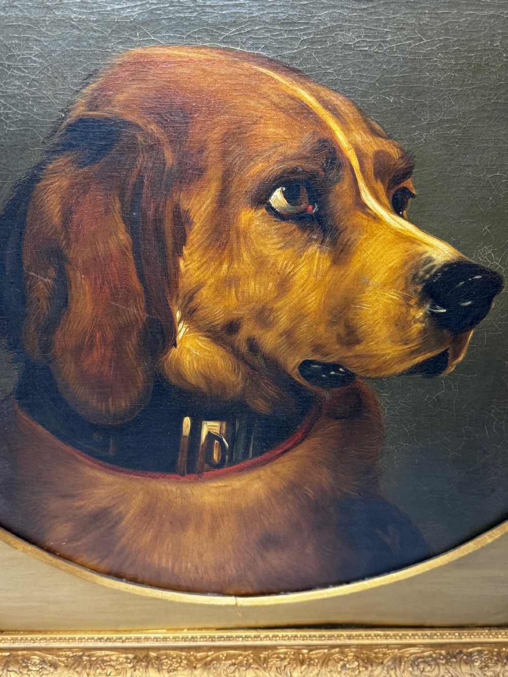 A Victorian oil painting depicting the head profile of a brown hound set inside a circular aperture within a heavy gold gilt frame. View XI