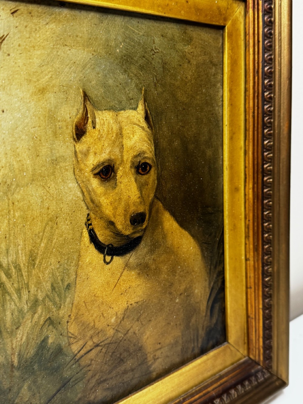 An antique oil painting depicting a white English terrier set within an ornate gilded wooden frame. View X