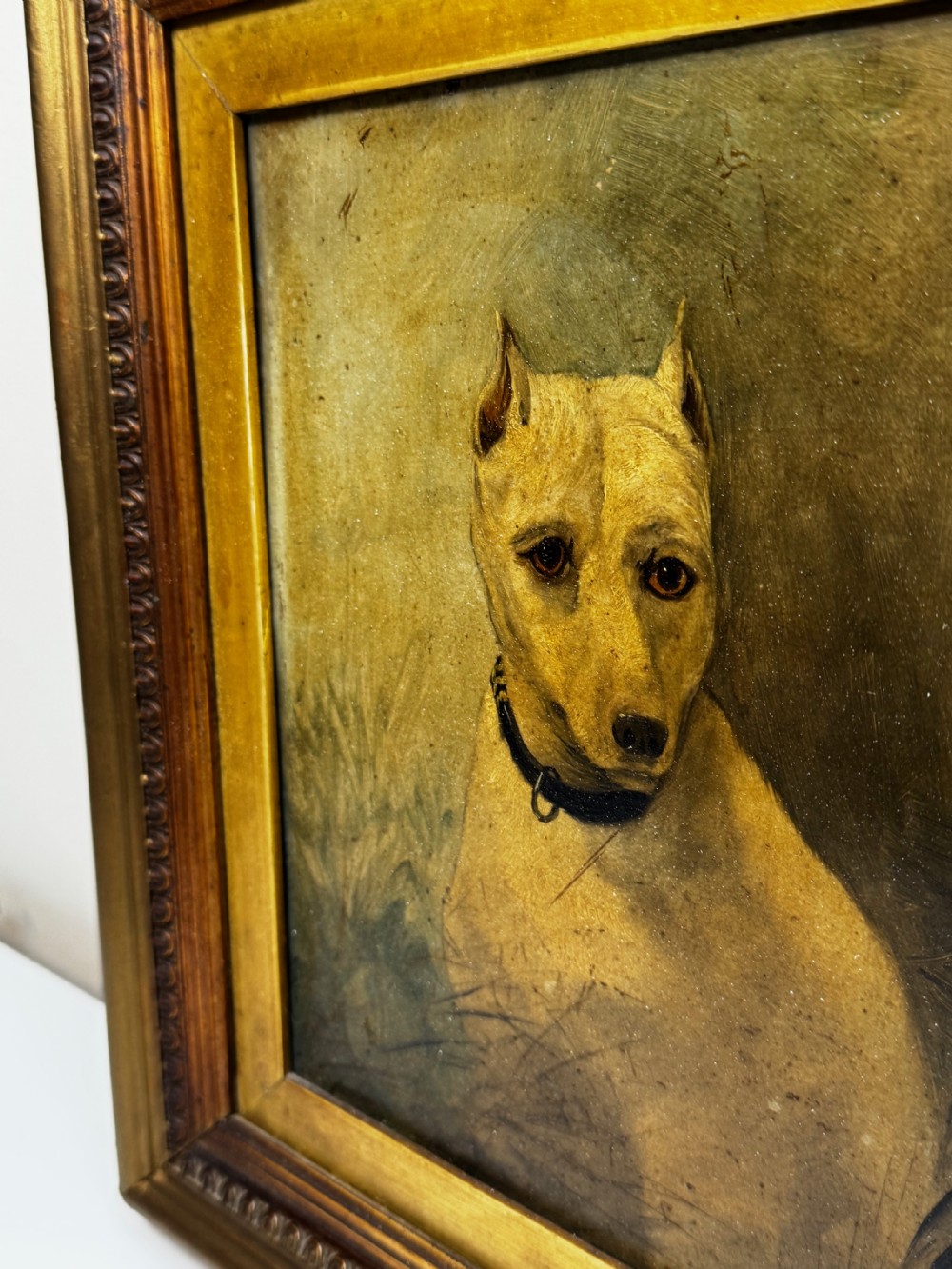 An antique oil painting depicting a white English terrier set within an ornate gilded wooden frame. View XI