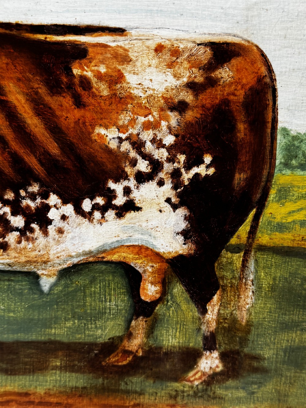 A 19th-century oil painting depicting a brown and white shorthorn bull standing in side profile in a green field, encased in a gilded frame. View XIV