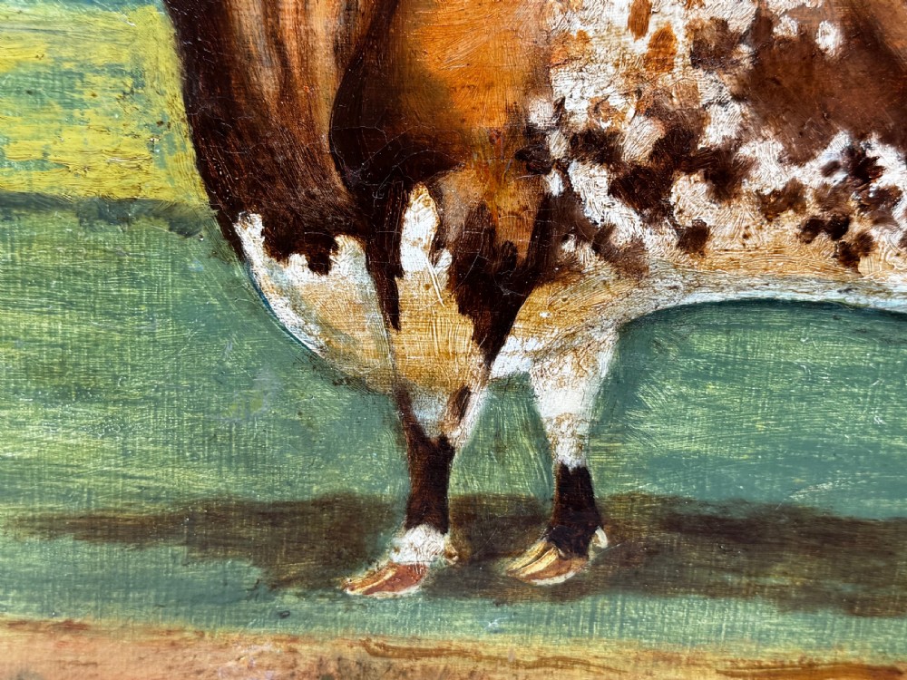 A 19th-century oil painting depicting a brown and white shorthorn bull standing in side profile in a green field, encased in a gilded frame. View XV