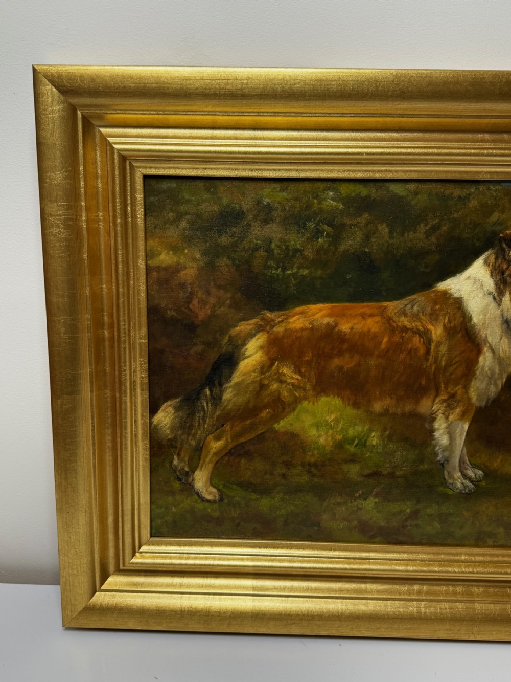 A late 19th-century oil painting depicting a sable and white Rough Collie standing in profile against a landscape background, housed within a moulded gold gilt frame. View VII