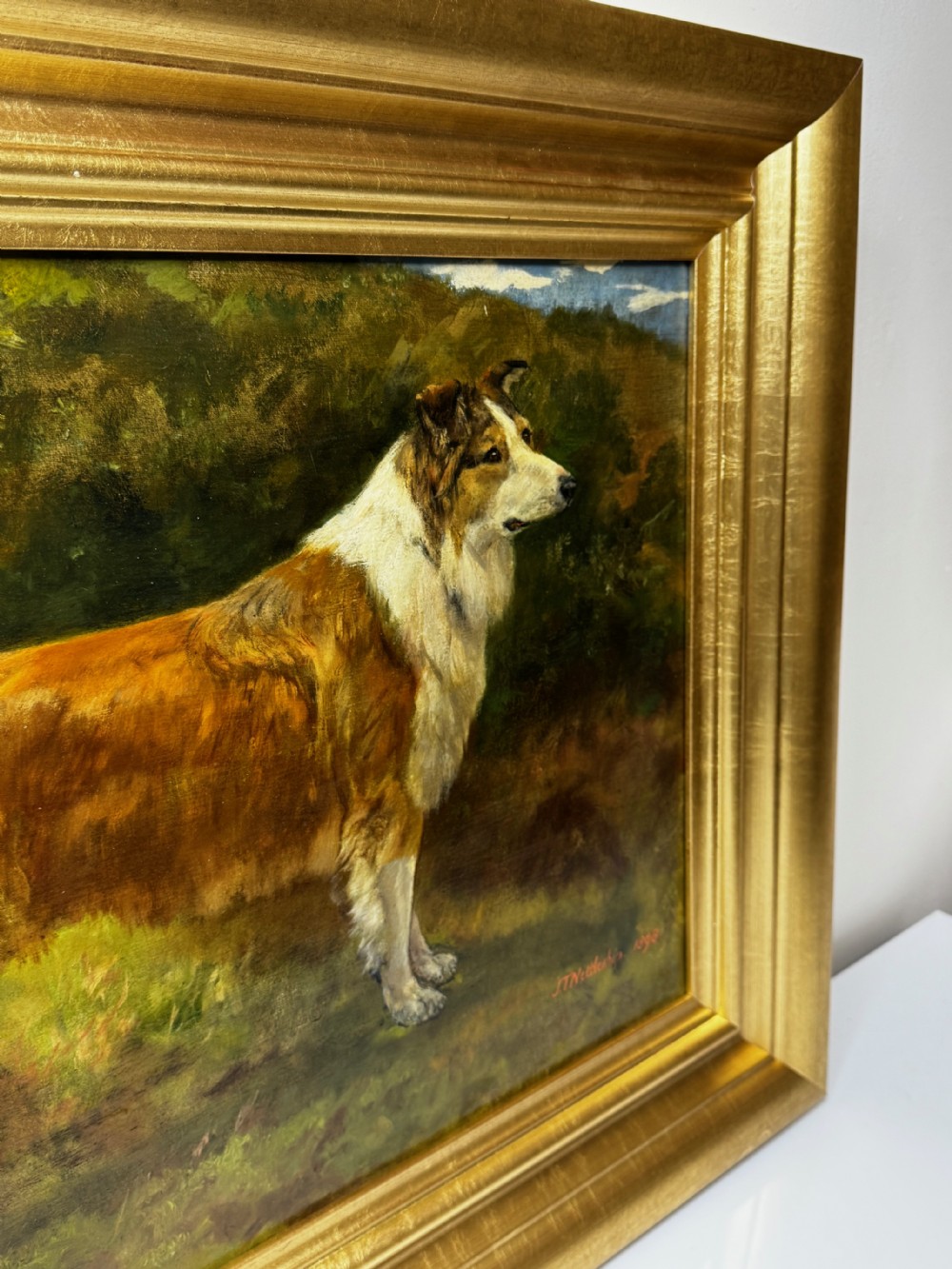 A late 19th-century oil painting depicting a sable and white Rough Collie standing in profile against a landscape background, housed within a moulded gold gilt frame. View X