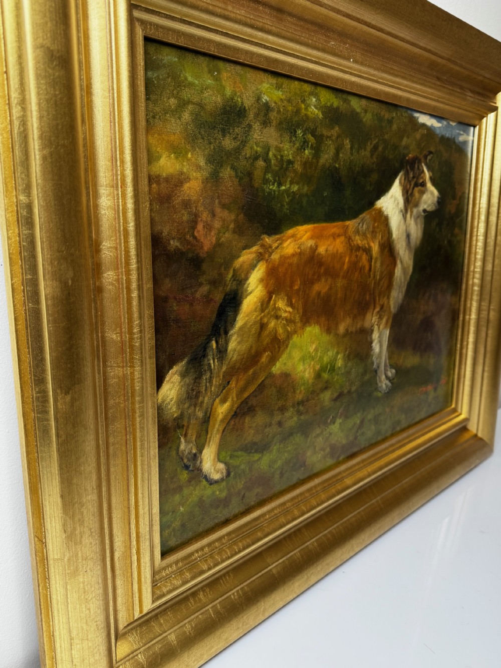 A late 19th-century oil painting depicting a sable and white Rough Collie standing in profile against a landscape background, housed within a moulded gold gilt frame. View XII