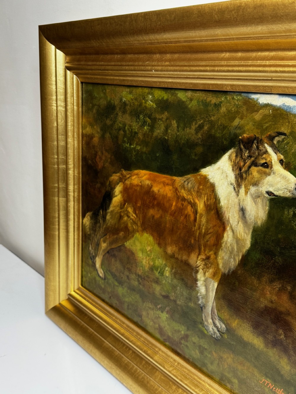 A late 19th-century oil painting depicting a sable and white Rough Collie standing in profile against a landscape background, housed within a moulded gold gilt frame. View XIII