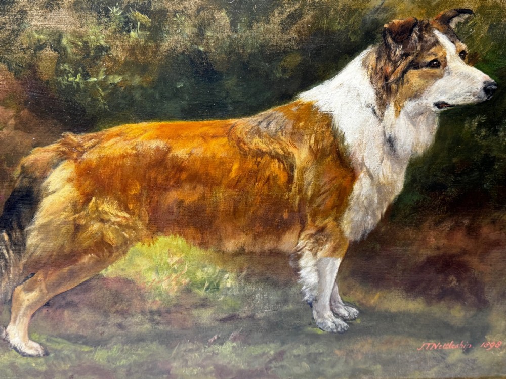 A late 19th-century oil painting depicting a sable and white Rough Collie standing in profile against a landscape background, housed within a moulded gold gilt frame. View XIV
