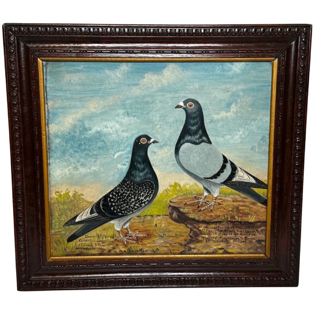 An early 20th-century oil painting on board depicting two racing pigeons outdoors, housed in a dark carved wooden frame with hand-painted text detailing race victories.