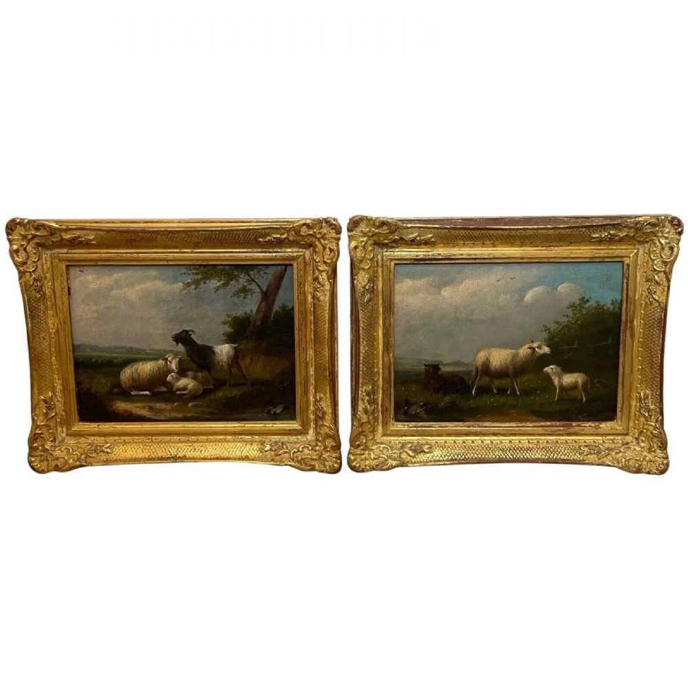 A pair of 19th-century oil paintings in ornate gilt frames depicting sheep, lambs, and goats resting in green pastoral landscapes.
