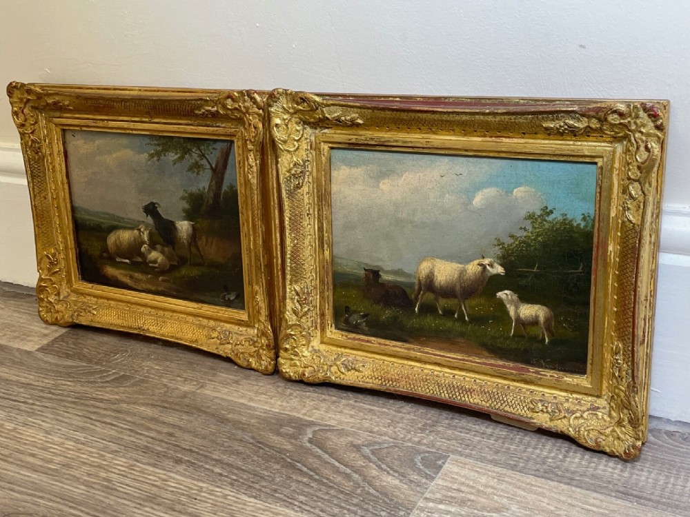A pair of 19th-century oil paintings in ornate gilt frames depicting sheep, lambs, and goats resting in green pastoral landscapes. View III
