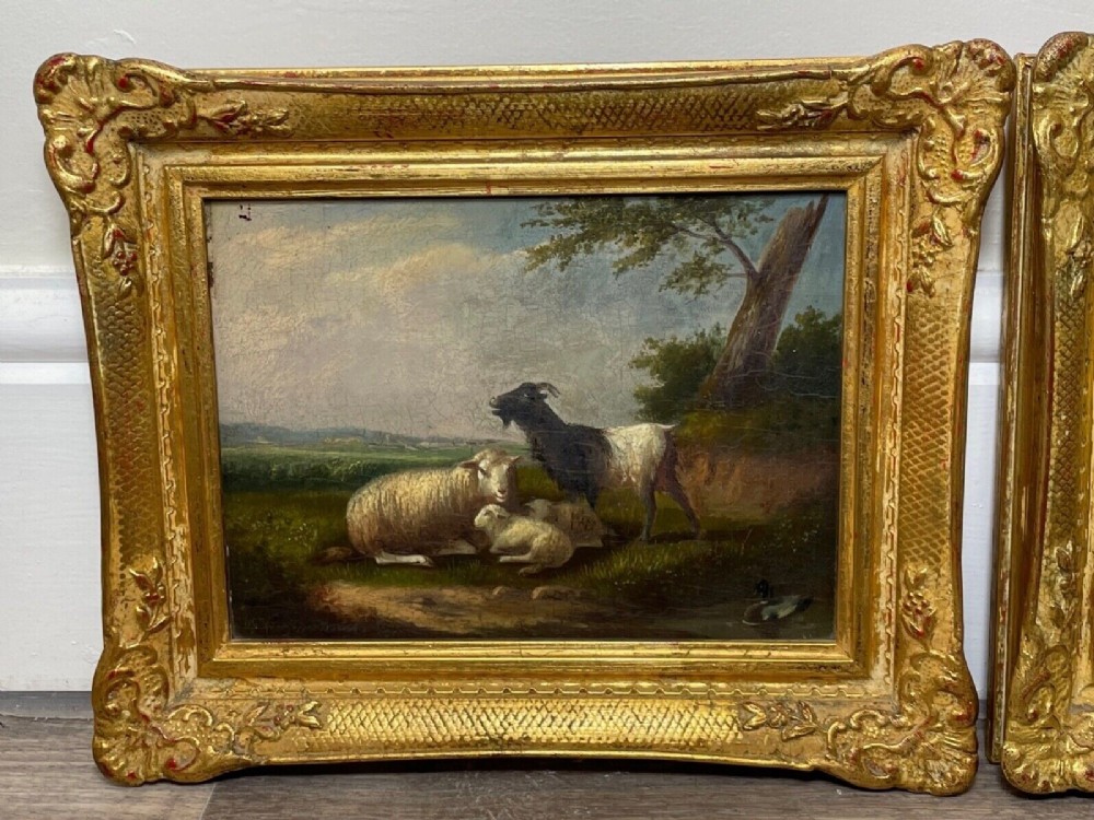 A pair of 19th-century oil paintings in ornate gilt frames depicting sheep, lambs, and goats resting in green pastoral landscapes. View IV
