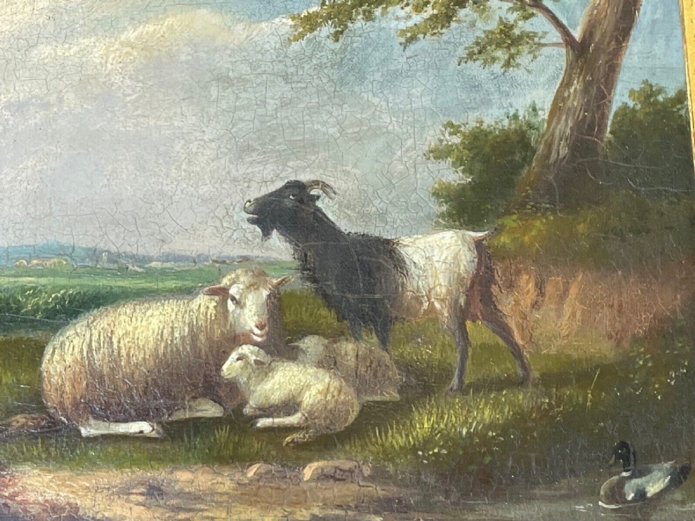 A pair of 19th-century oil paintings in ornate gilt frames depicting sheep, lambs, and goats resting in green pastoral landscapes. View V