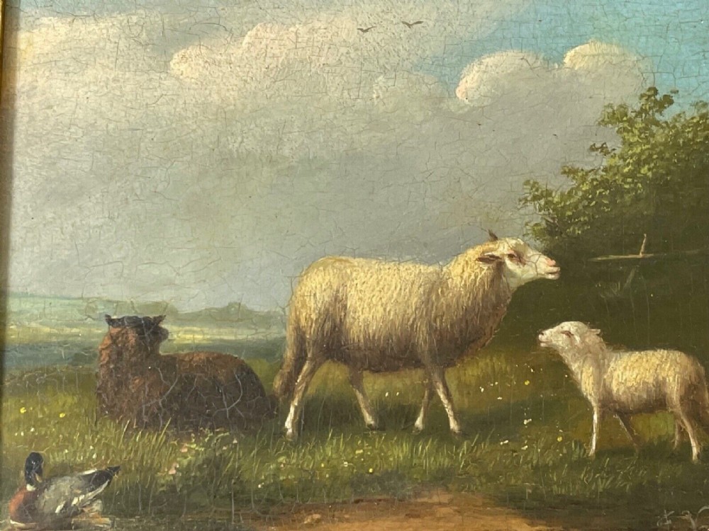A pair of 19th-century oil paintings in ornate gilt frames depicting sheep, lambs, and goats resting in green pastoral landscapes. View VI