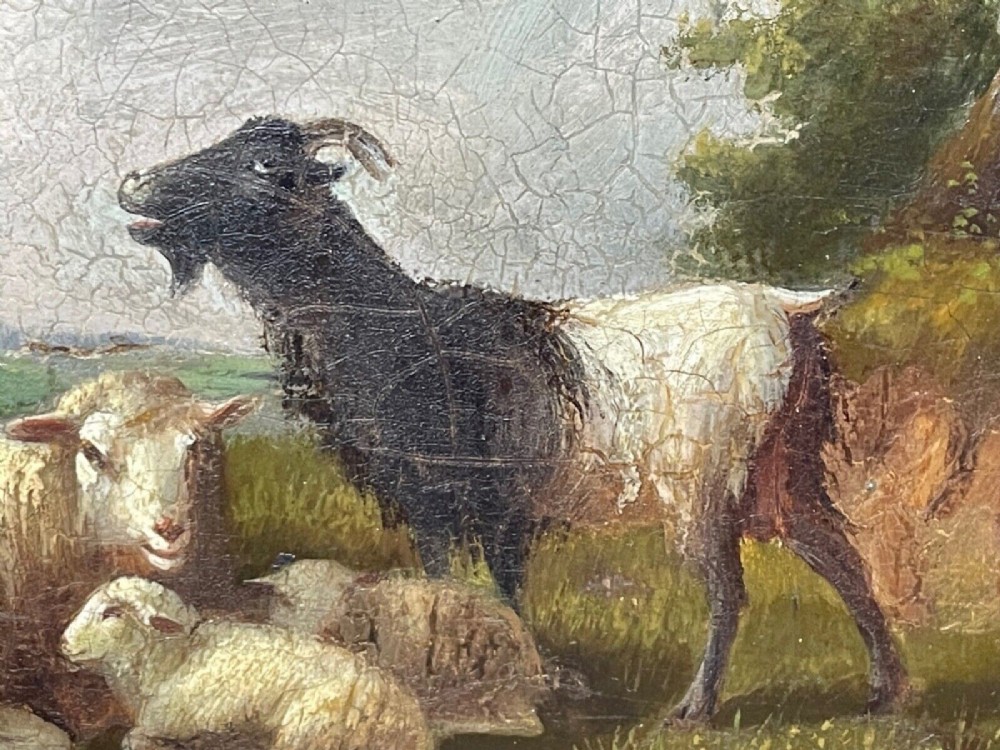 A pair of 19th-century oil paintings in ornate gilt frames depicting sheep, lambs, and goats resting in green pastoral landscapes. View XII