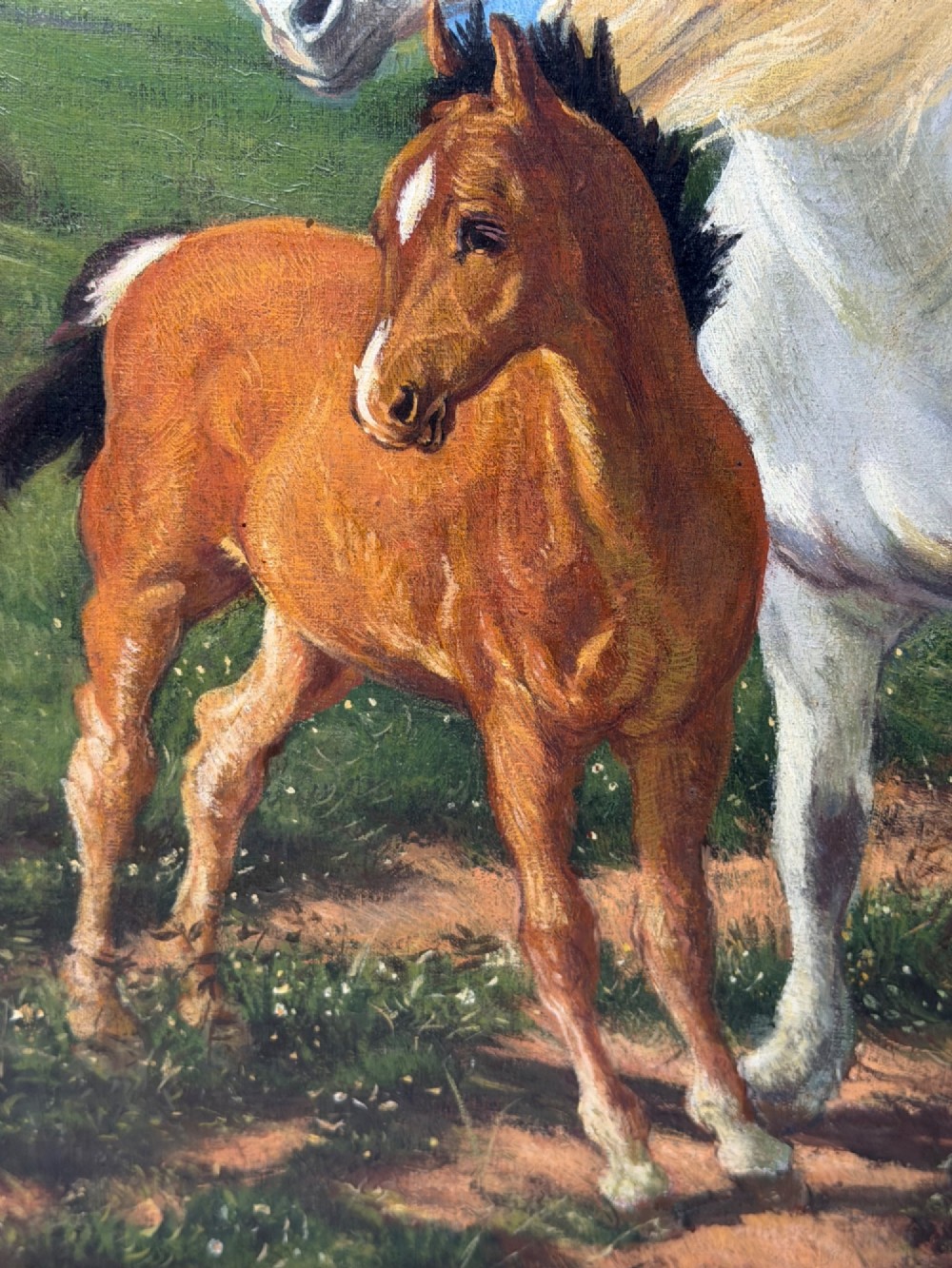A framed oil painting featuring a grey mare standing beside a young chestnut foal on a grassy coastal headland overlooking the sea. View VIII