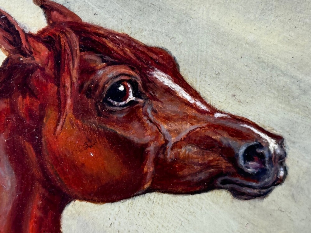 An antique oil painting depicting a chestnut Arabian horse standing in profile against a green draped backdrop within a moulded gold giltwood frame. View II