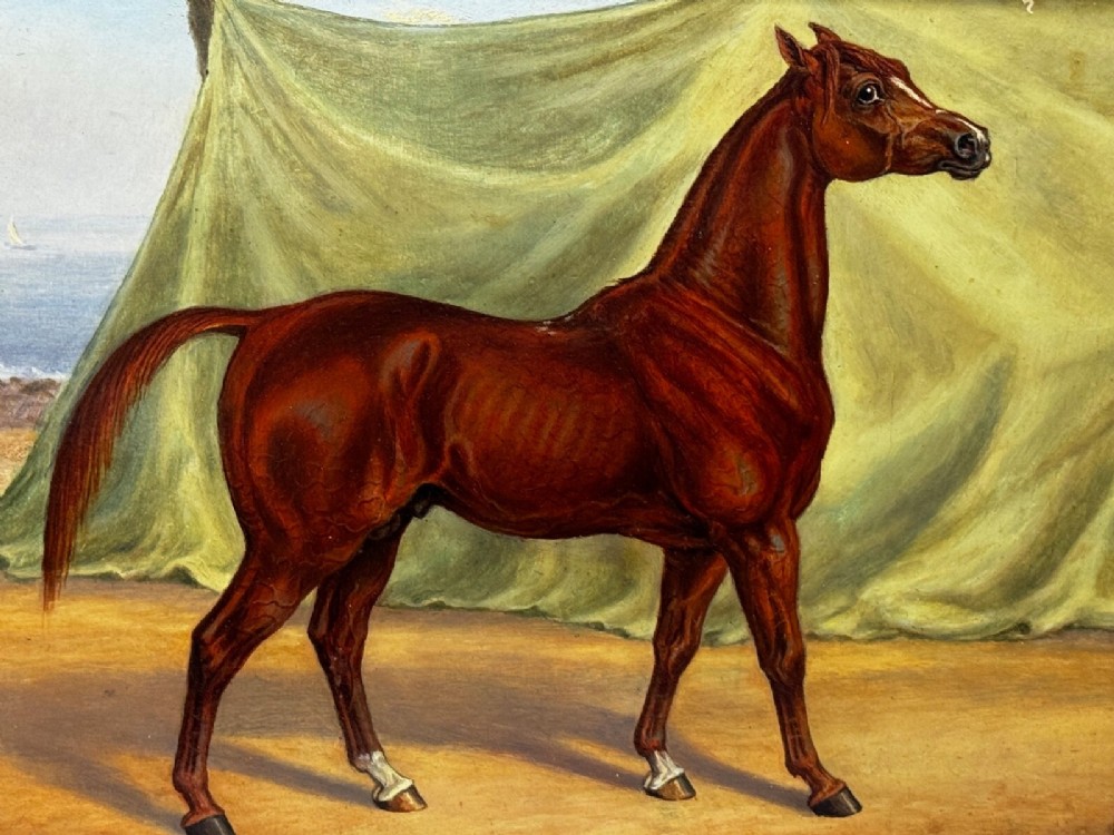 An antique oil painting depicting a chestnut Arabian horse standing in profile against a green draped backdrop within a moulded gold giltwood frame. View III