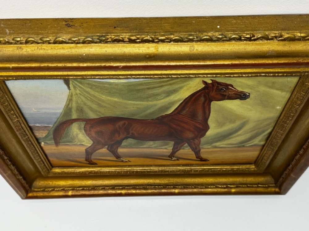 An antique oil painting depicting a chestnut Arabian horse standing in profile against a green draped backdrop within a moulded gold giltwood frame. View IV