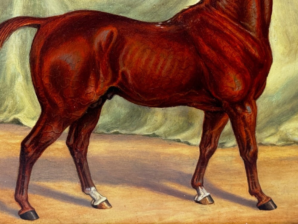 An antique oil painting depicting a chestnut Arabian horse standing in profile against a green draped backdrop within a moulded gold giltwood frame. View V