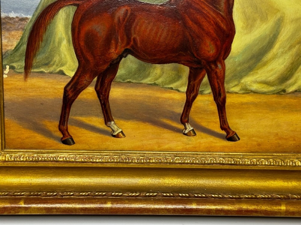 An antique oil painting depicting a chestnut Arabian horse standing in profile against a green draped backdrop within a moulded gold giltwood frame. View VII