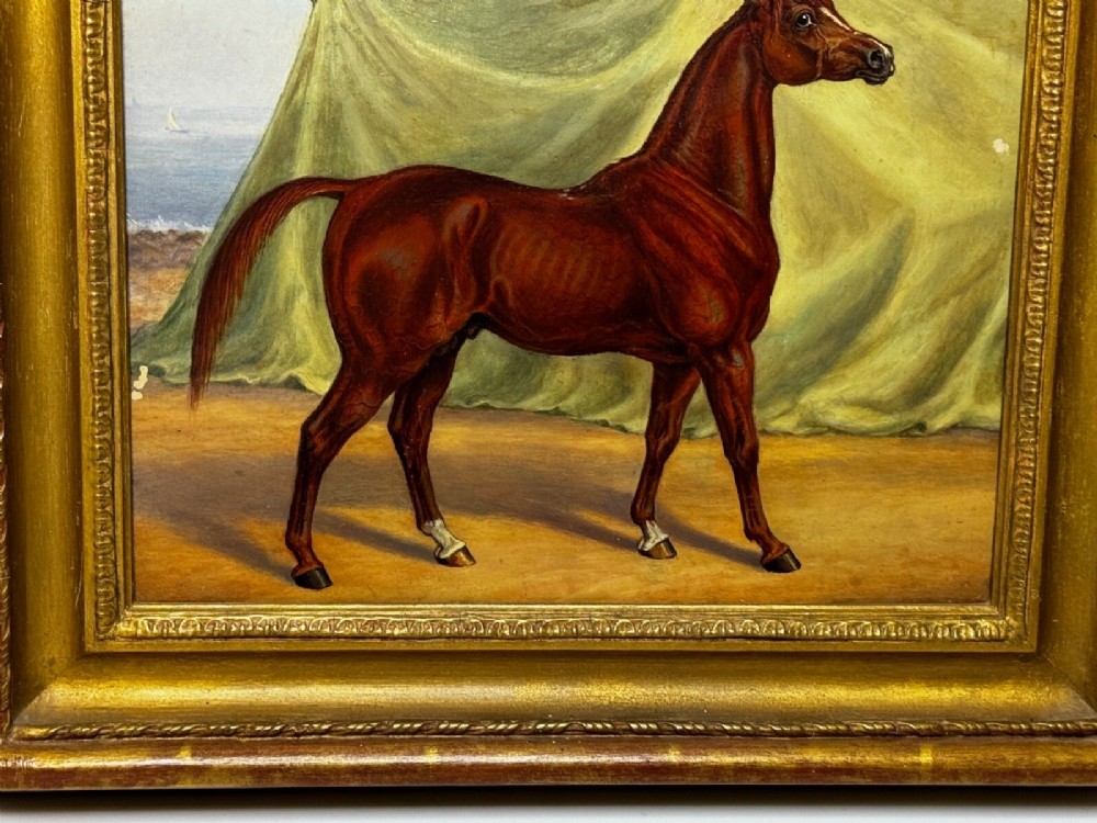 An antique oil painting depicting a chestnut Arabian horse standing in profile against a green draped backdrop within a moulded gold giltwood frame. View XII
