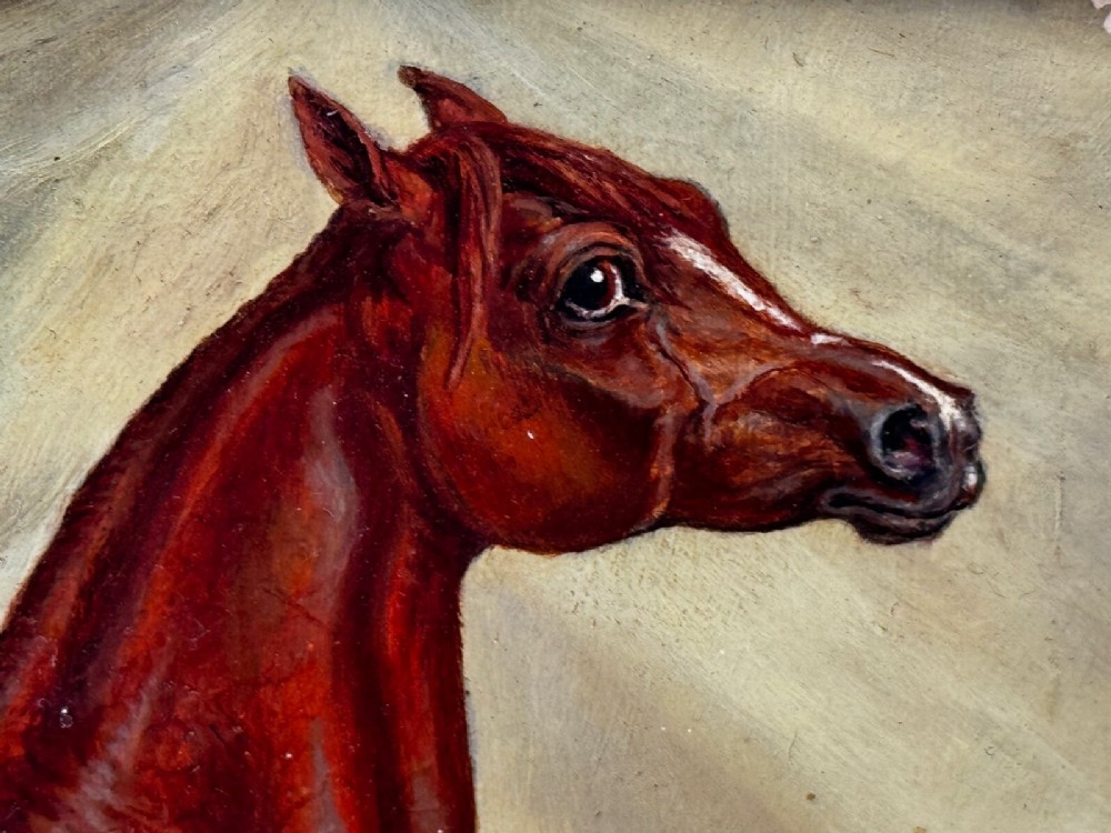 An antique oil painting depicting a chestnut Arabian horse standing in profile against a green draped backdrop within a moulded gold giltwood frame. View XIV