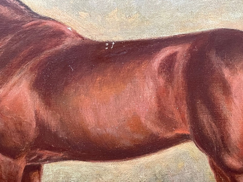 Detail View