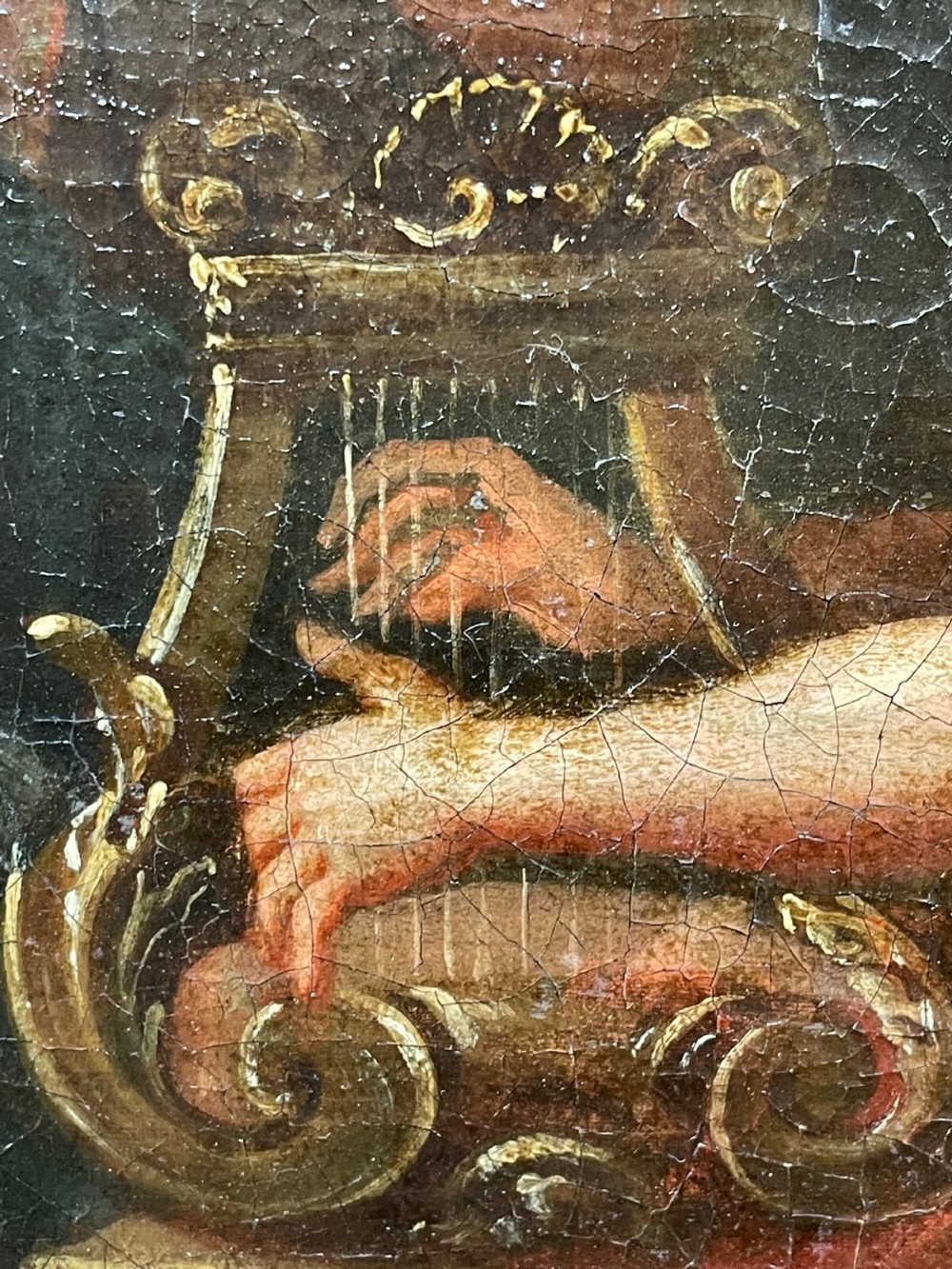 Alternate View