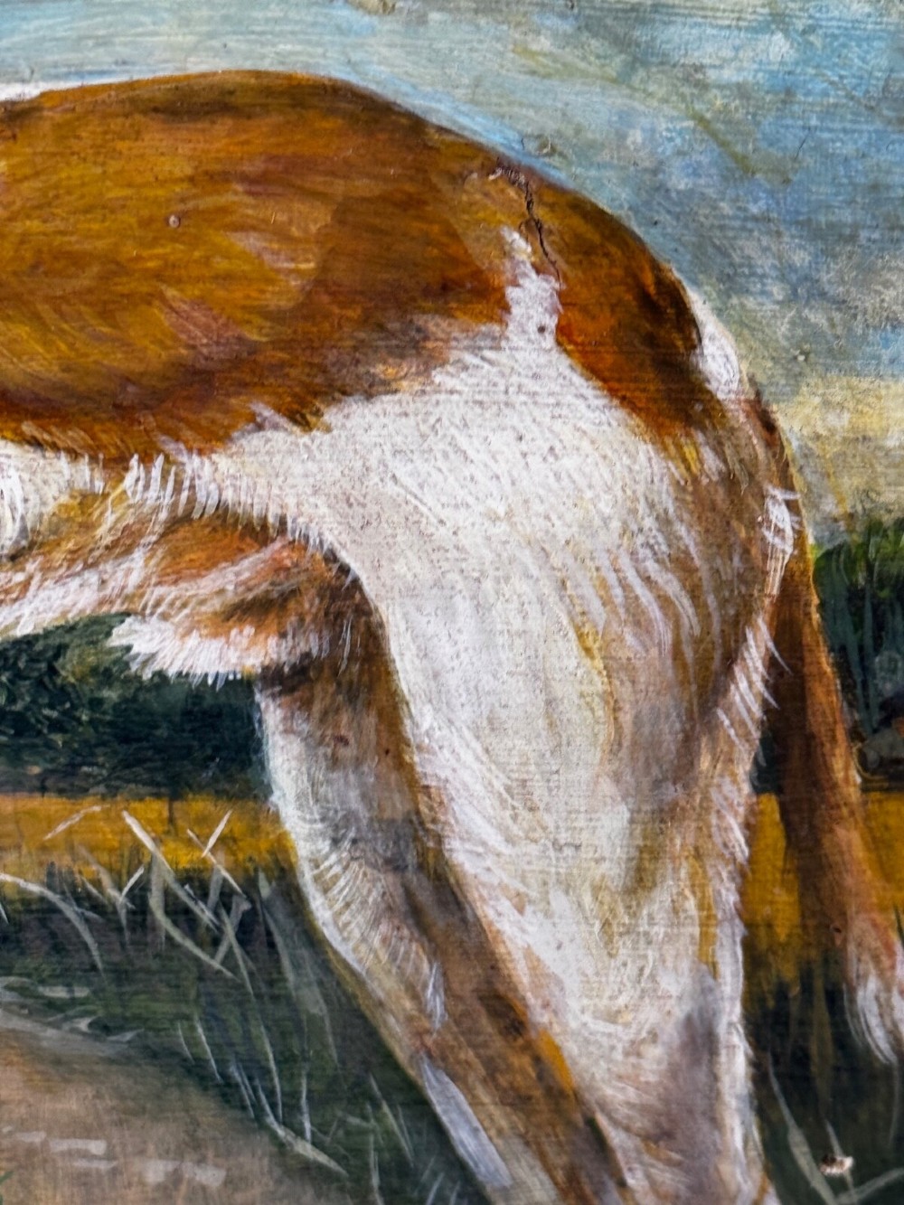 An antique Edwardian oil painting depicting a tan and white lurcher dog in a landscape, set within an ornate gilded frame. View XI