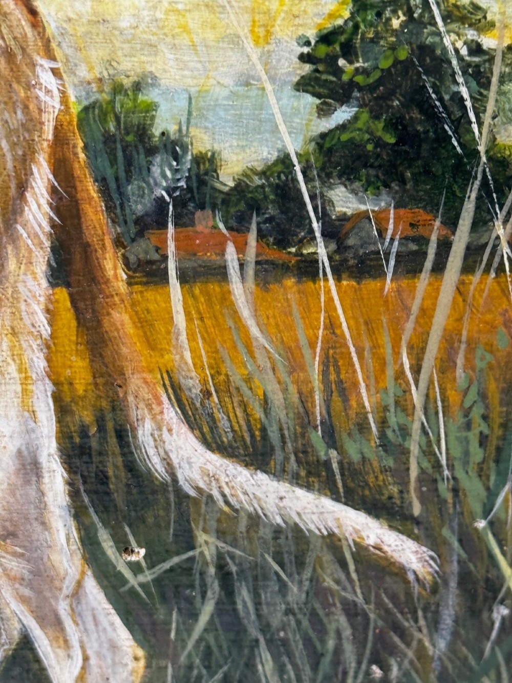 An antique Edwardian oil painting depicting a tan and white lurcher dog in a landscape, set within an ornate gilded frame. View XIV