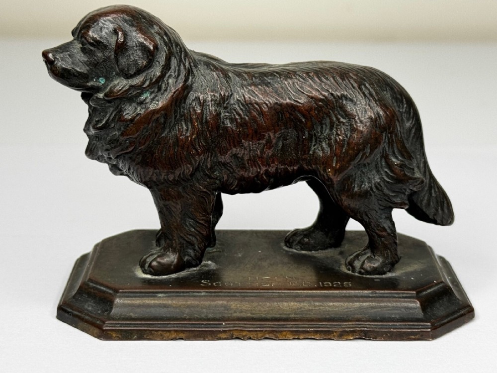 A patinated dark bronze sculpture depicting a standing Newfoundland dog positioned on a bevelled rectangular base. View V