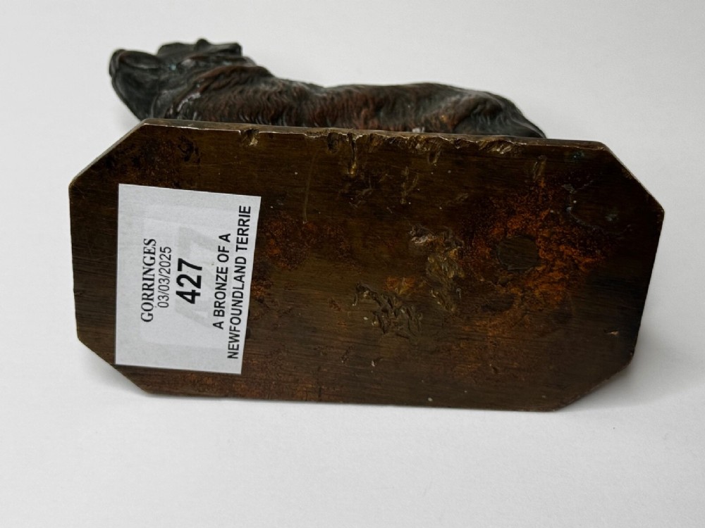 A patinated dark bronze sculpture depicting a standing Newfoundland dog positioned on a bevelled rectangular base. View VII