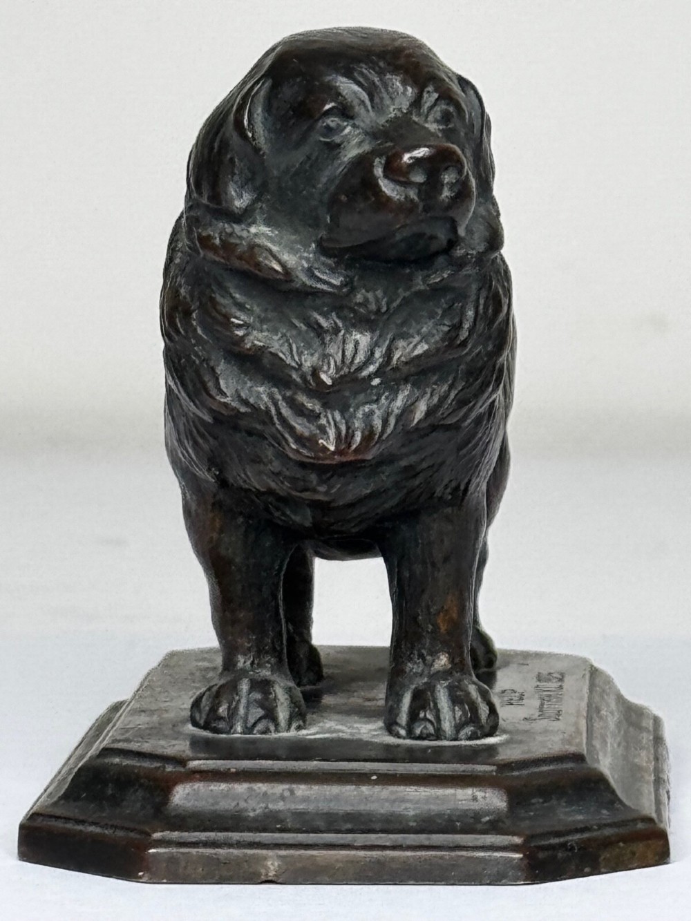A patinated dark bronze sculpture depicting a standing Newfoundland dog positioned on a bevelled rectangular base. View VIII