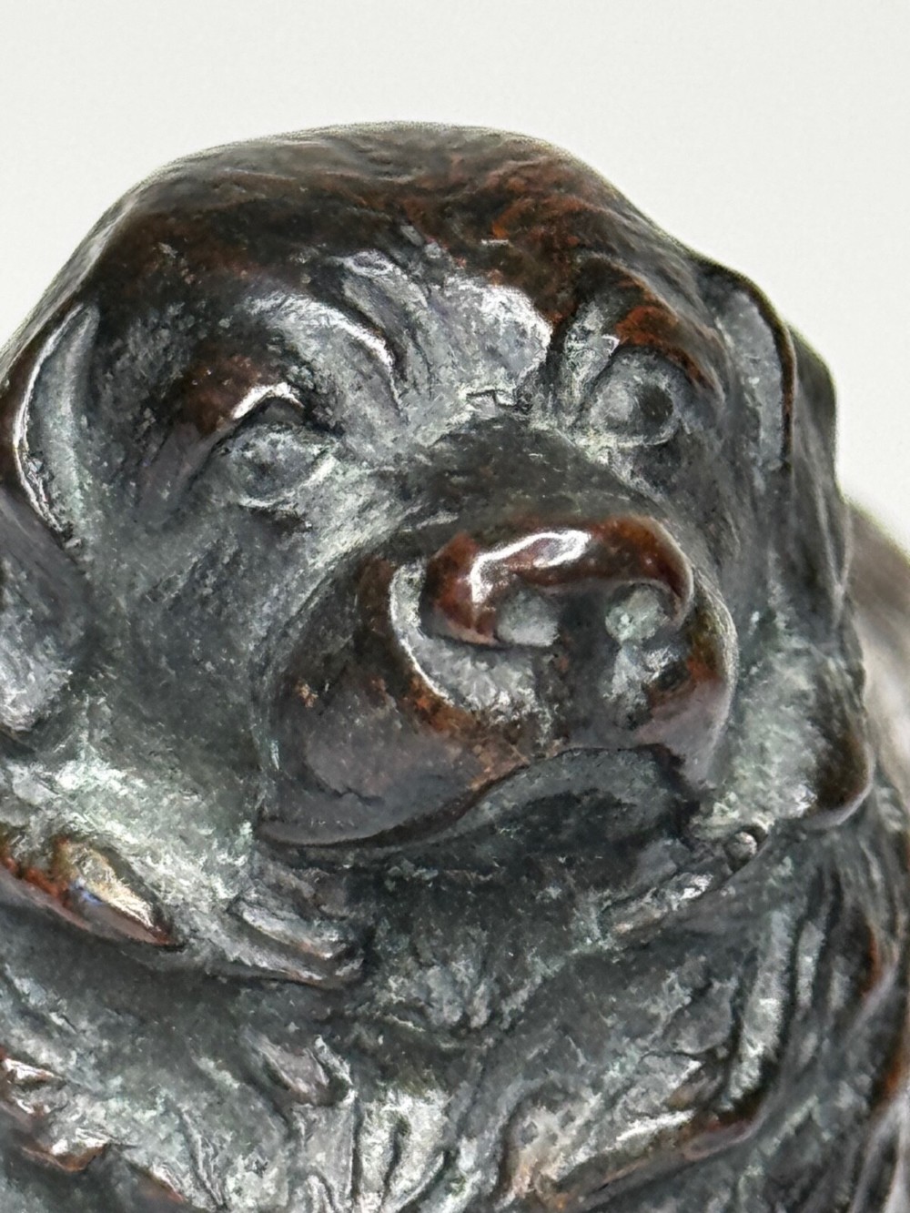 A patinated dark bronze sculpture depicting a standing Newfoundland dog positioned on a bevelled rectangular base. View IX
